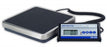 Cardinal / Detecto Scale Mfg Co Detecto Stainless Steel Portable Floor Scale - Digital Floor Scale, Weight Capacity of 550 lb. (250 kg), 12" x 12" - DR550C