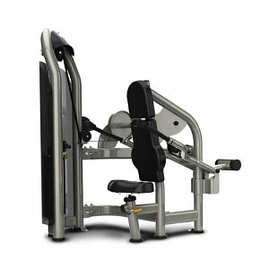 Johnson Aura Tricep Press - Matrix Aura Seated Dip Tricep Press - G3-S42