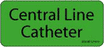 Label Paper Removable Central Line 1" Core 2 1/4" X 1 Fl. Green 420 Per Roll