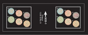 Titmus Binocularity iSF-1 Slides - Vision Screening Slide, SCD-1, Colorpercep - 18071