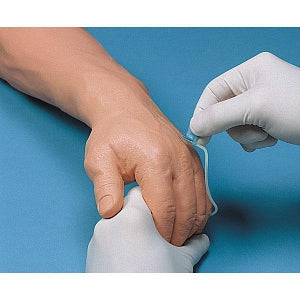 Nasco Life / form Venipuncture Demonstration Arms - ARM IV DEMONSTRATION WHITE - LF01131U