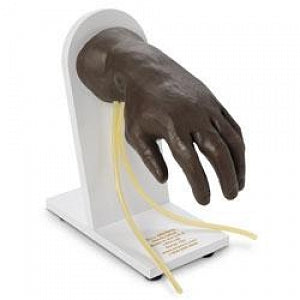 Nasco Life / form Advanced IV Hands - IV Hand Training Model, White, with Blood, Syringes - LF01139U