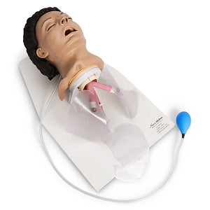 Nasco Airway Management Trainers - Airway Management Trainer with Stand, Adult - LF03601