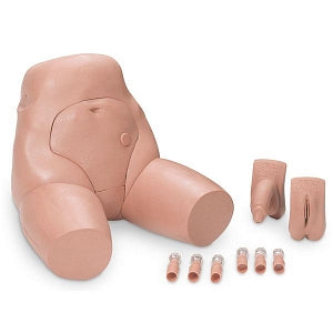 Nasco Interchangeable Catheterization & Enema - Catheterization and Enema Simulator, Interchangeable Genitals - LG02099U