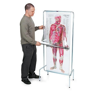 Nasco Thin Man: Sequential Human Anatomy Program - CHART, THIN MAN, ANATOMICAL - SB23900U