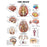 Nasco Peter Bachin Anatomical Chart Sets - Organ / Structures Chart Set of 5 - SB25038U