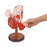 Nasco Giant Plastic Hands-On Educational Model Heart - Giant Plastic Hands-On Educational Model Heart - SB33771M