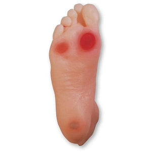 Nasco Diabetic Foot Educational Training Model - Diabetic Foot Educational Training Model, 3-1/2" x 9-1/2" x 4" - SB43091U