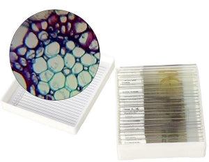 Nasco Biology I - Set of 25 Slides - Biology Slide, Set of 25 - SL10278M