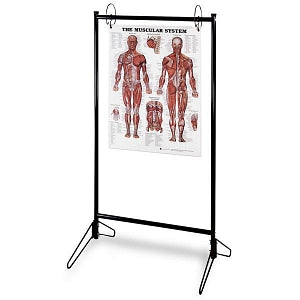 Nasco Chart Stand - Chart Stand for 26" x 20" Charts - Z09422U