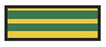 Aspen Surgical ColorTrack Stripe Instrument ID Sheet Tapes - Instrument I. D. Tape, Yellow and Green Stripes - 157003EEA