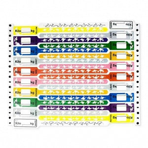 Brady Worldwide KangaBand Wristbands - KangaBand Wristband, Multi-Color Pack - KG470SML-11-PDJ