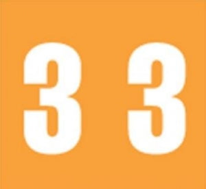 PDC Healthcare AMES Compatible Numeric Labels - Mylar-Coated Ames-Compatible Color-Code Label, Numeric "3," 1-7/8" x 1-7/8", Orange - 59742372