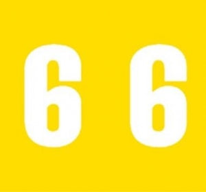 PDC Healthcare AMES Compatible Numeric Labels - Mylar-Coated Ames-Compatible Color-Code Label, Numeric "6," 1-7/8" x 1-7/8", Yellow - 59742375