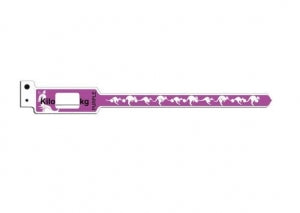 Brady Worldwide KangaBand Wristbands - KangaBand Wristband, Broselow, Purple, 10 kg to 11 kg - KG470SPU-11-PDJ