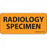 PDC Heatlhcare Radiology Specimen Labels - Specimen Label, Orange, 2-1/4" x 1" - MV04FO1021