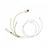 Pocketnurse Thermodilution 5 Lumen (Training) Catheters - CATHETER, THERMODILUTION, LUMEN, 7.5FR - 06-54-7520