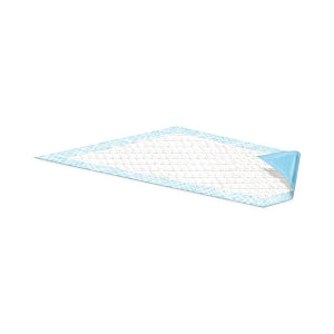 Attends Healthcare Products Dri-Sorb Underpads - Dri-Sorb Light Absorbency Underpad, 17" x 24" - UFS 170