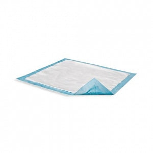 Attends Healthcare Products Dri-Sorb Underpads - Dri-Sorb Light Absorbency Underpad, 23" x 24" - UFS-230