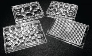 Protective Sterile Untreated 6, 12, 24 & 384-well - STER UNTREATED 12 WELL PLATES - 222-8046-01F