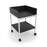 Mobile Lab Cart with Shelf Side & Back Panels 48"W x 30"D x 34"H