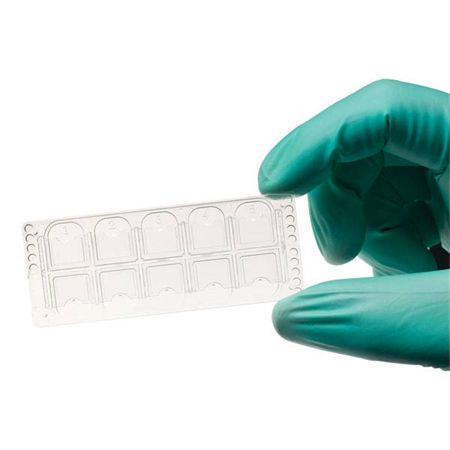 Quick Read Precision Cell Urinalysis Slide Quick-Read Precision Cell Urinalysis Slide