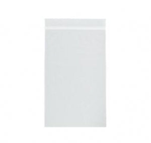 RD Plastics Clear 2-Mil Reclosable Bags - Clear 2 Mil Reclosable Bag, 13" x 15" - A42