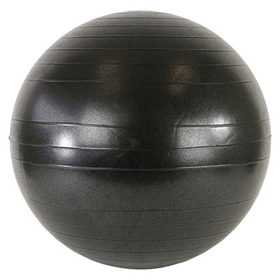 CanDo Ball Chair