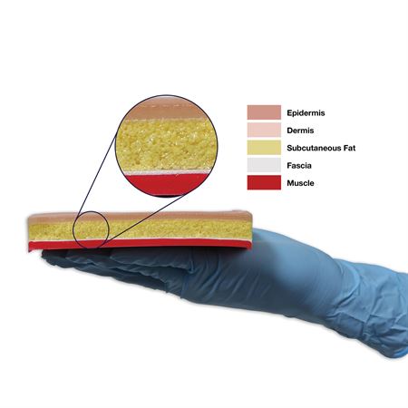 Suture Skills Trainer