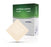 BSN Medical Sorbion Sachet Border Dressing - Sorbion Sachet Dressing, Size S, 3" x 3", 4" x 4" - 7323600