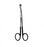 Sklar Sklarhone Metzenbaum Dissecting Scissors - Sklarhone Metzenbaum Dissecting Scissors with Razor Edge and Standard Edge, Curved, 7" - 15-3310