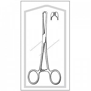 Sklar Econo Sterile Allis Tissue Forceps - ALLIS TISS FCP STERL 6" BX/50 - 96-2576