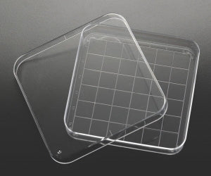 Simport Scientific Petri Dishes - PETRI DISH 100X100X15MM WITH GRID - D210-16