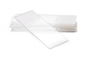 Statlab Medical Products HistoBond Adhesion Slides - MICROSCOPE SLIDE, HISTOBOND, ADHESION - 418