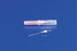 Cardinal Health Monoject Medication Transfer Needle - Monoject Medication Transfer Needle, 20 G x 1" - 8881204005