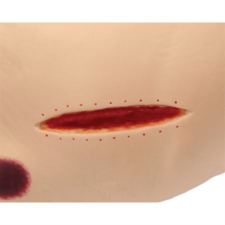 Seymour-II-Wound-Care-Model-DTPI-Trainer Seymour II Wound Care Model