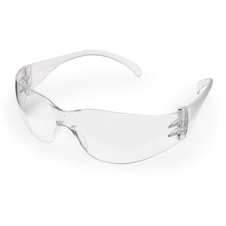 Intruder Economy Safety Glasses Standard