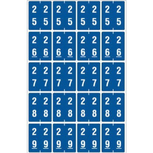 PDC Healthcare Ames Compatible Color-Coded Labels - Ames Compatible Color-Coded "25-29" Label, 1.5" x 1.875", Blue, 20/Set - SDD25-29