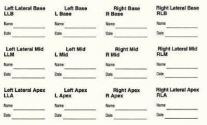 Therapak Labels - LABEL, PROSTATE BIOPSY 100/PK - 54800