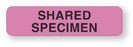 United Ad Label Co Shared Specimen Labels - "Shared Specimen" Label, Fluorescent Pink, 760/Roll - SI124