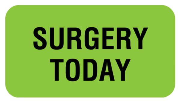 Medical Use Labels - SURGERY TODAY, Communication Label, 1-5/8" x 7/8"