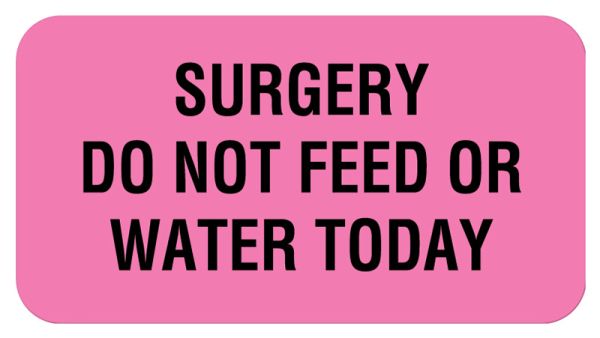 Medical Use Labels - SURGERY DO NOT FEED OR WATER T, Communication Label, 1-5/8" x 7/8"