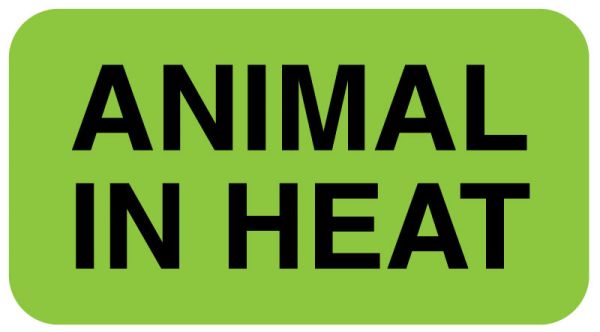 Medical Use Labels - ANIMAL IN HEAT, 1-5/8" x 7/8"