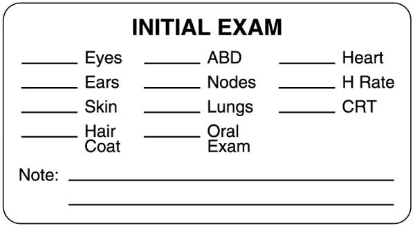 Medical Use Labels - Examination Record Label, 3" x 1-5/8"