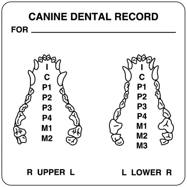 Medical Use Labels - Examination Record Label, 2-1/2" x 2-1/2"