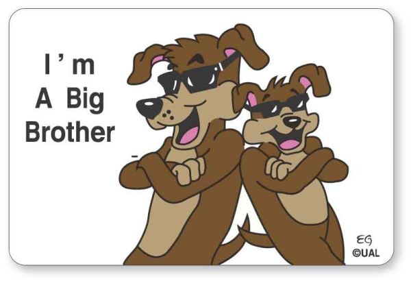 Medical Use Labels - I'M A BIG BROTHER, Kids' Sticker, 3" x 2"