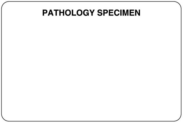 Medical Use Labels - Pathology Labels, 3" x 2"