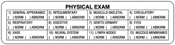 Medical Use Labels - Physical Exam Label, 4" x 1"