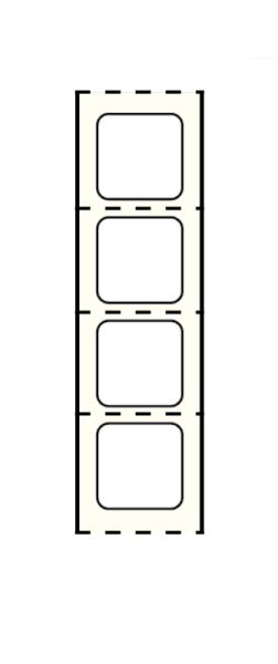 Medical Use Labels - Stainershield Printer Label , 1" Core, 7/8" x 7/8"