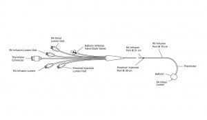 Edwards Lifesciences Swan-Ganz 4-Lumen Catheters - Swan-Ganz Paceport ...